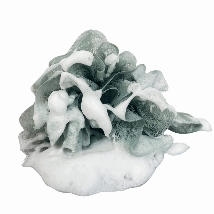 Tallow Shower Gel -Activated Charcoal & Mint