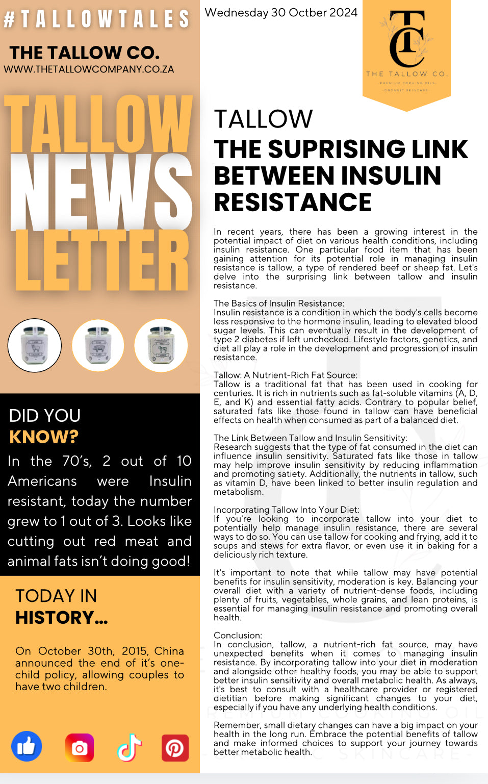 Tallow-The Surprising Link Between Insulin Resistance - The Tallow Co.