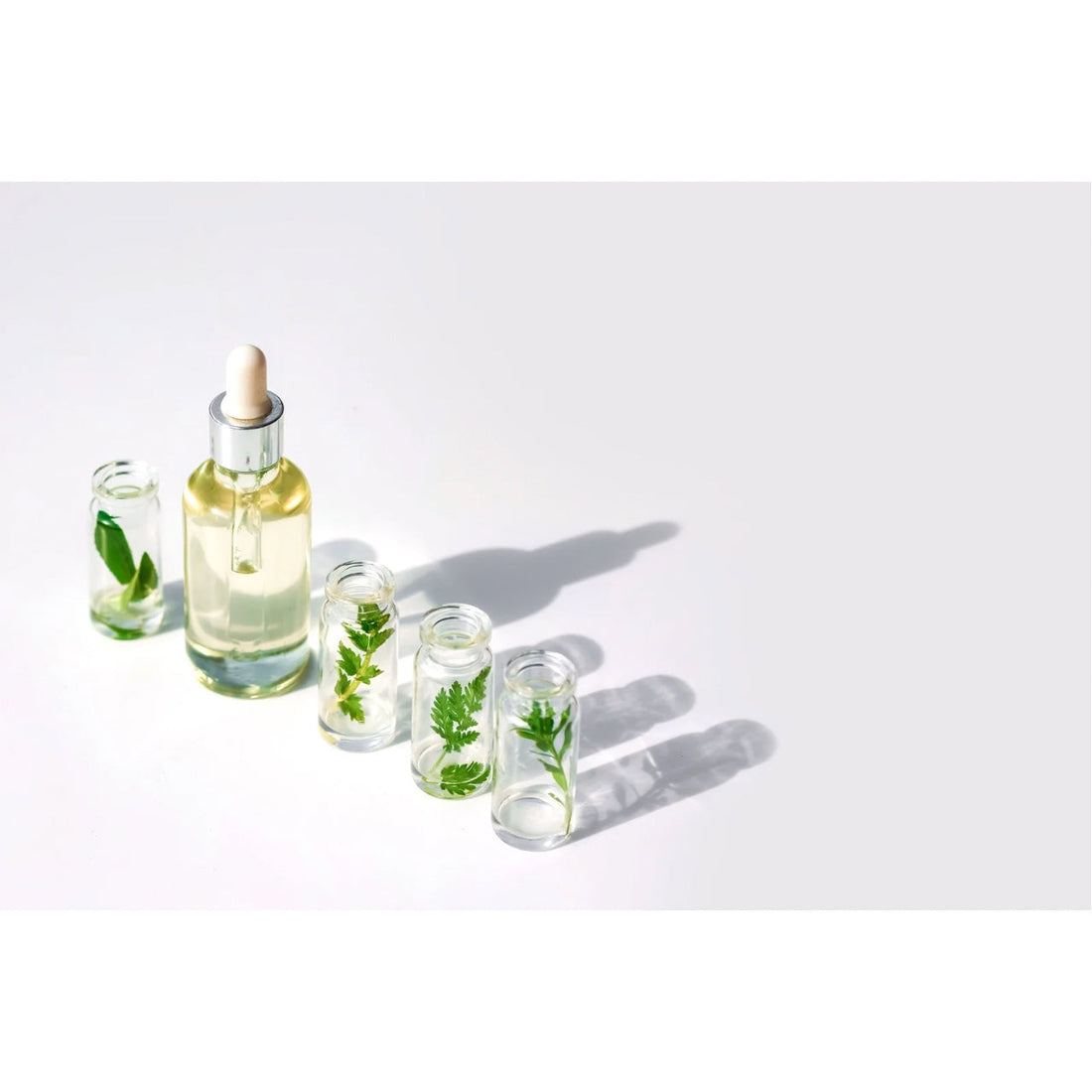 The Tallow Co. Are Natural Skincare a trend? 