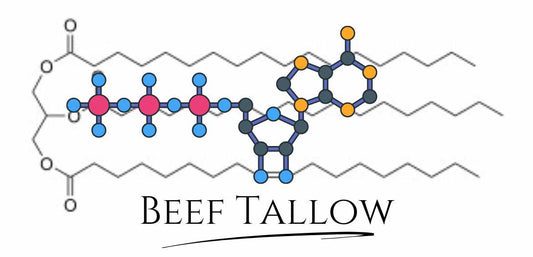 Beef Tallow Blog | The Tallow Co.