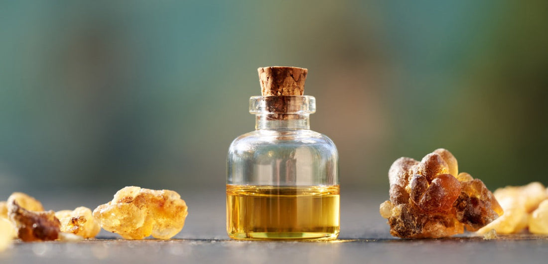 Frankincense | The Tallow Co.