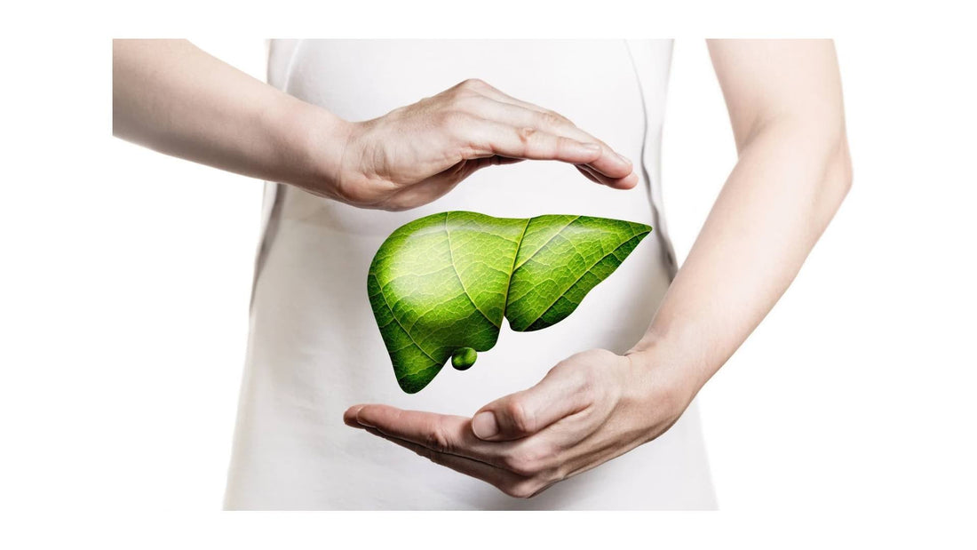 Fatty Liver Disease | The Tallow Co.