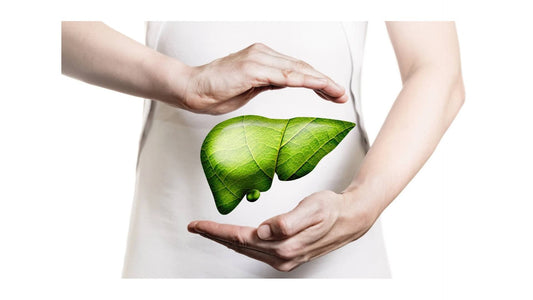 Fatty Liver Disease | The Tallow Co.