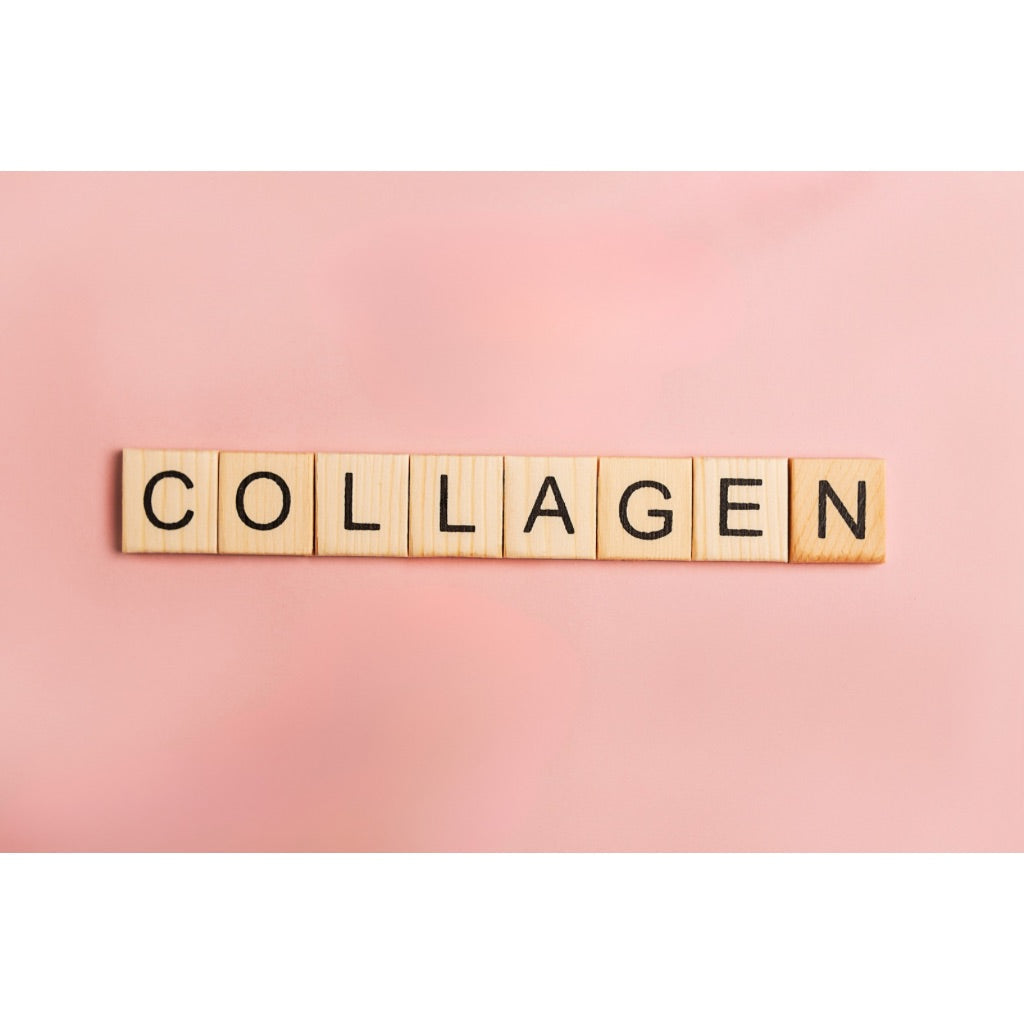 Bone broth collagen the tallow co