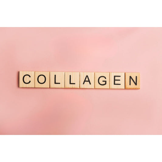 Bone broth collagen the tallow co