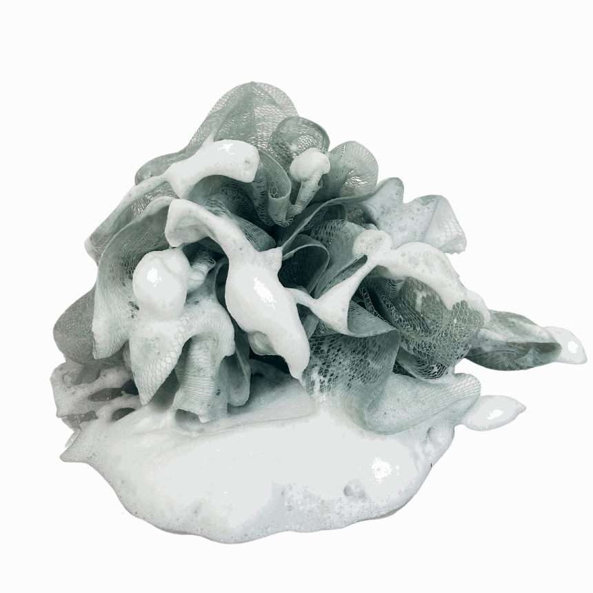 Tallow Shower Gel -Activated Charcoal & Mint